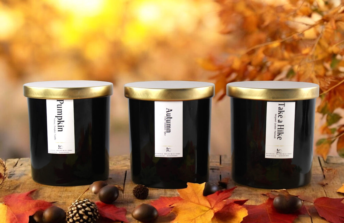 Fall collection 2023